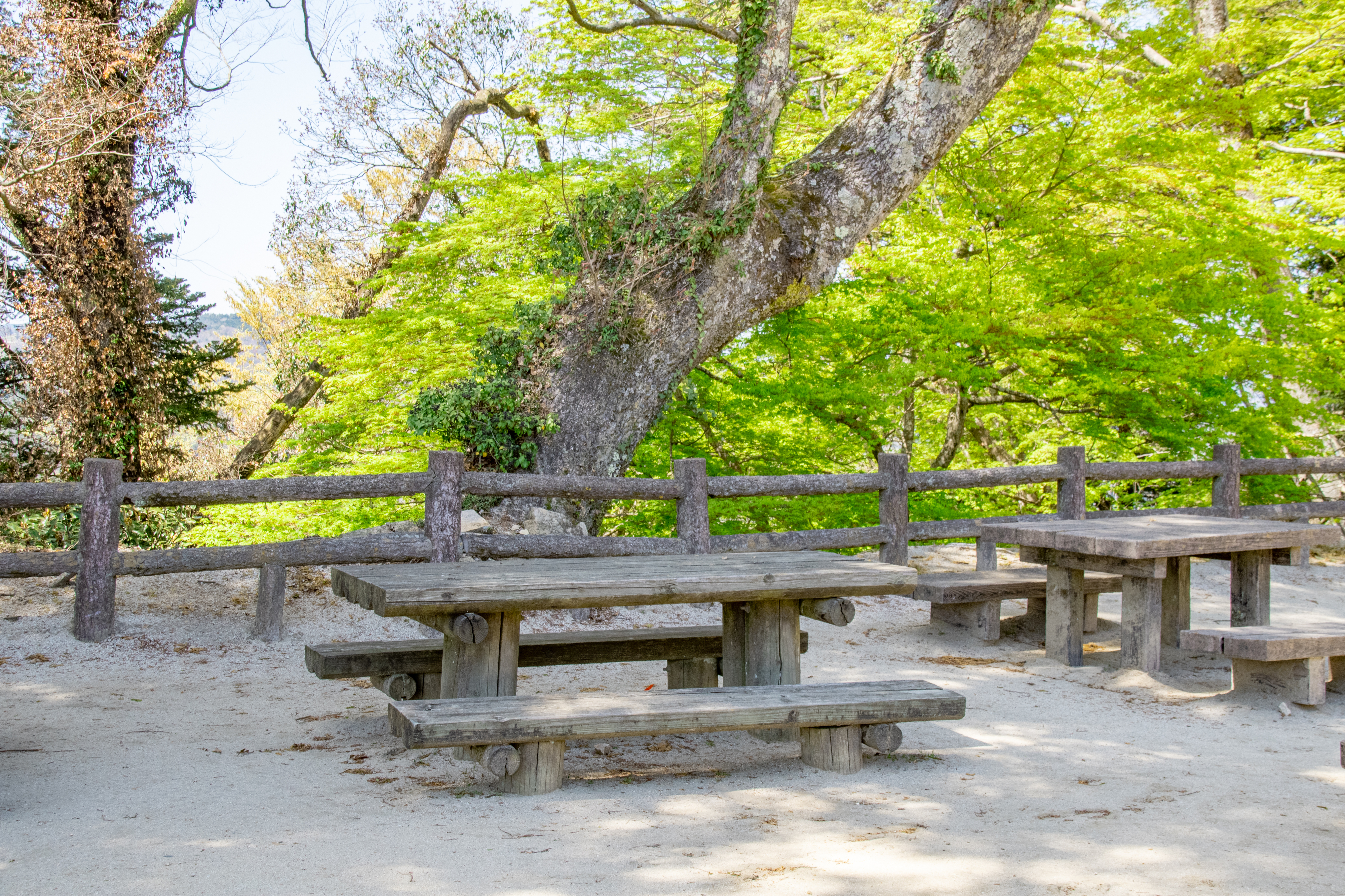 木製キャンプ用品